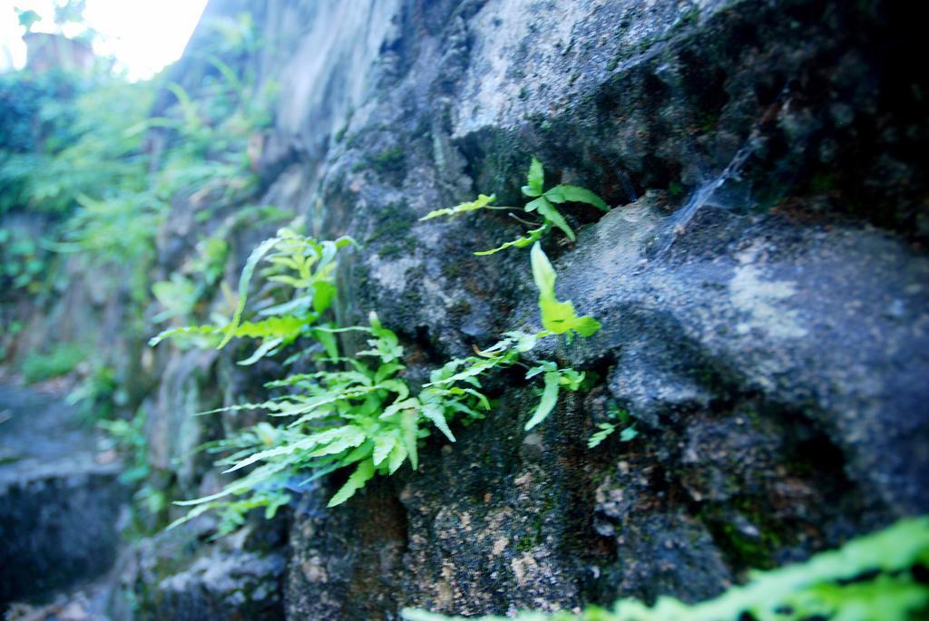 The Mountain Otel Hangzhou Dış mekan fotoğraf